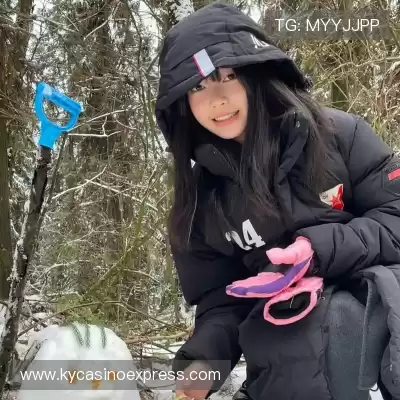 沈辉